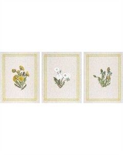 Набор полотенец Pole Kvetak (Беларускі лён) 46x60 24С112-ШР/рп/фкор/к. Pole kvetak (беларускі лён)