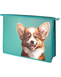 Папка для тетрадей Феникс+ Веселый корги / 69293 Feniks