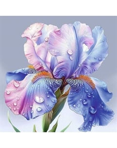 Набор алмазной вышивки Феникс+ Ирис / 70827 Feniks