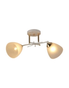 Потолочный светильник Mirastyle SX-N-0413/2