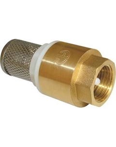 Обратный клапан магистральный Aqualink С сеткой 3/4 / СС02059