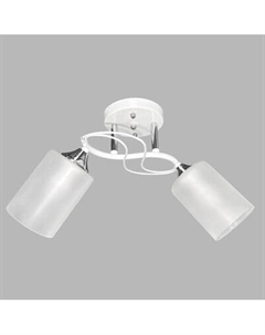 Потолочный светильник Aitin-Pro НПБ 02-2x60-101 / 6108A/2 Aitin-pro