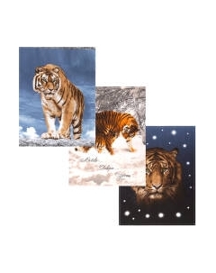 Набор полотенец АртПостель Раджа из рогожки 45x60 / НЗ_ПКР45.60 Артпостель