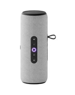 Портативная Умная колонка .Станция Стрит YNDX-00030GRY (серый) Яндекс