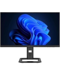 Монитор Pro 27" Action S (DM27SP06) Digma