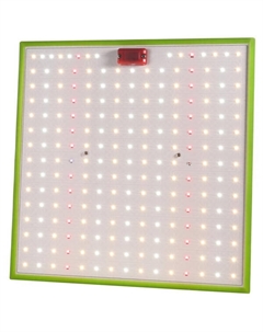 Светильник для растений Quantum Board FITO-80W-LED-QB Б0053285 Эра