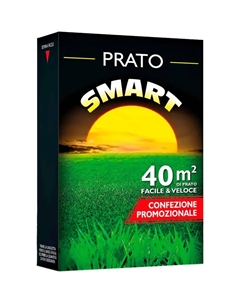 Трава газонная Смарт 1кг Franchi