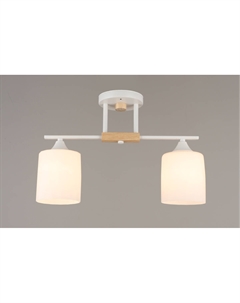 Светильник подвесной (М) SX-N-9204/2 WT (2*40Вт, Е27) Mirastyle