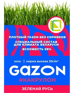 Травосмесь Газон как Рулон 5кг Зеленая русь