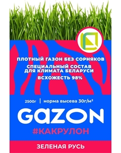Травосмесь Газон как Рулон 2,5кг Зеленая русь