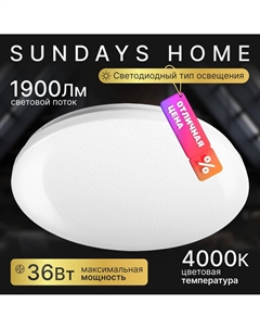 Припотолочная люстра 240924-5 5719 Sundays home