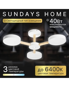 Припотолочная люстра 240924-22 5849 Sundays home