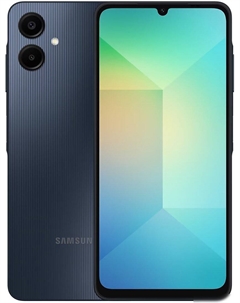 Смартфон Samsung Galaxy A06 SM-A065F 4GB/128GB (черный)