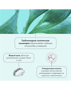 Шампунь для волос "AQUA BOOSTER . Ultra Увлажнение" Hair Evolution 250 Natura siberica