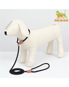 Ринговка для собак, 150×0.6 см, чёрная Пижон