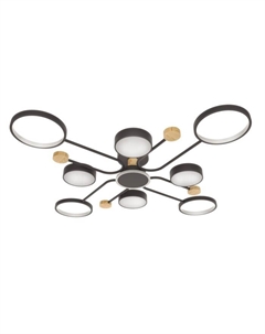 Люстра с ПДУ 2298/9BK LED 204 Вт 3000-6000К черный 120×120×15 см Bayerlux