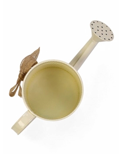 Кашпо «Лейка Гленн», 24×10×10 см, бежевое Take it easy