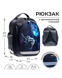 Рюкзак школьный, 37 х 27 х 16 см, эргономичная спинка, Б "Котик" Calligrata