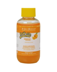 Шампунь ISB Fruit of the Groomer Orange для слабой выпадающей шерсти 100 мл Iv san bernard