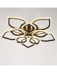 Люстра с ПДУ 10021/10BK LED 190Вт 3000-6000К диммер черный 70х70 см Bayerlux