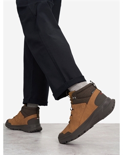 Ботинки утепленные мужские Albeck Ltr, Оранжевый Northland