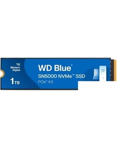 SSD Blue SN5000 1TB S100T4B0E Wd