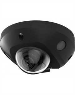 IP-камера DS-2CD2543G2-IS (2.8 мм, черный) Hikvision