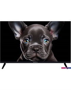 Телевизор Topdevice 32" OS SALUTE TV (черный)