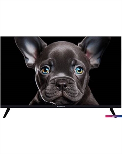 Телевизор Topdevice 32" FHD OS SALUTE TV (черный)
