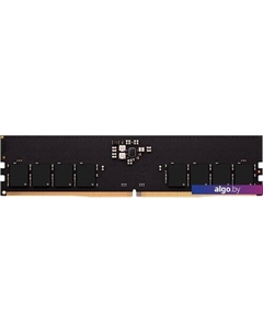 Оперативная память Radeon R5 Entertainment Series 32ГБ DDR5 4800 МГц R5532G4800U2S-U Amd