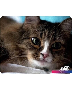 Коврик для мыши Cat _B4648 Vs