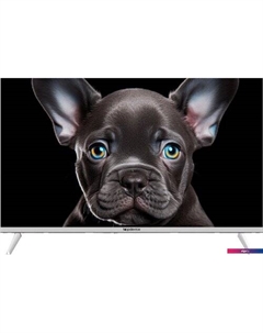 Телевизор Topdevice 32" OS SALUTE TV (белый)