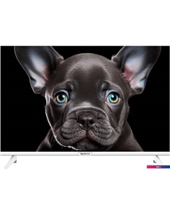Телевизор Topdevice 24" OS SALUTE TV (белый)