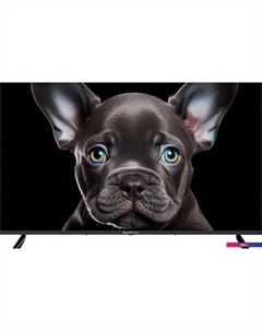 Телевизор Topdevice 43" 4K OS SALUTE TV (черный)