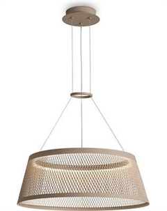 Потолочный светильник Freya Prism FR5535PL-L14B