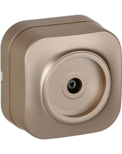 Розетка IEK Glory EAH10-K37M Iek