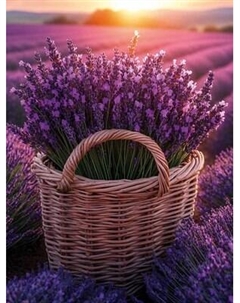 Набор алмазной вышивки Феникс+ Корзина с лавандой / 70844 Feniks