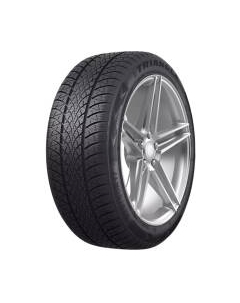 Зимняя шина Triangle TW401 WinterX 215/55R17 98V