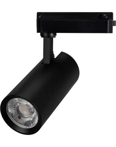 Трековый светильник Arlight LGD-GERA-2TR-R74-20W Day4000 BK 36deg / 055051