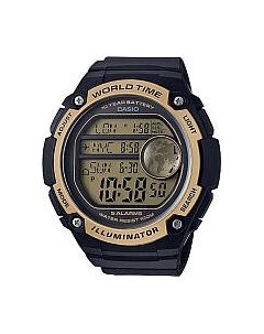 Часы наручные мужские Casio AE-3000W-9AVEF
