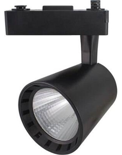 Трековый светильник TDM SQ0369-0003 Tdm