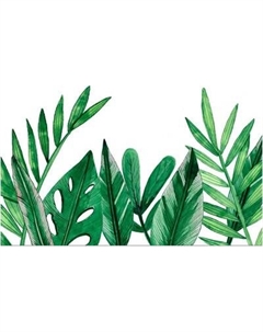 Фотообои листовые Citydecor Цветы и Растения 238