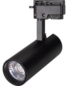 Трековый светильник Arlight LGD-GERA-2TR-R55-10W Warm3000 BK 24deg / 025938(1)