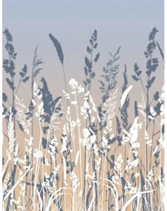 Фотообои листовые Citydecor Невесомость 46