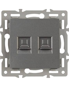 Розетка Arlight SCT-MPC2-PL-GR / 045338