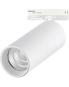 Трековый светильник ST Luce ST384.536.10 St luce