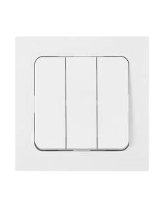 Выключатель Bylectrica С05 10-3505