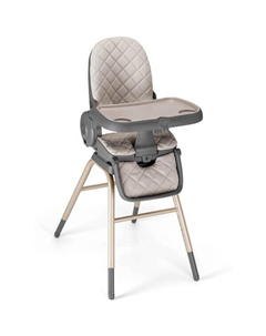 Стульчик для кормления Original 4In1 Золотой S2200-C256 Cam