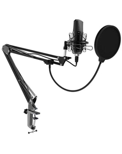 Микрофон RDM-169 Ritmix