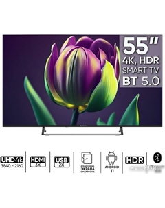 Телевизор Topdevice Ultra Neo TDTV55CS06U_BK